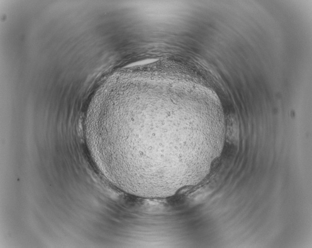 X0000087380573200705111738