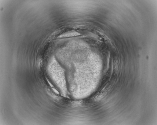 X0000087380574200705111738