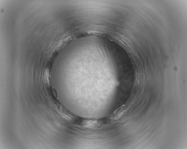 X0000087380575200705111738