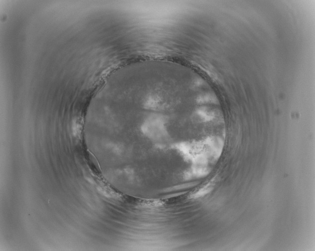 X0000087380576200705111738