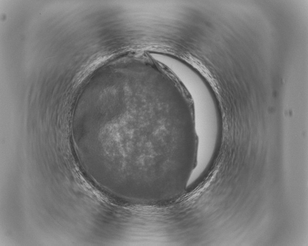 X0000087380577200705111738