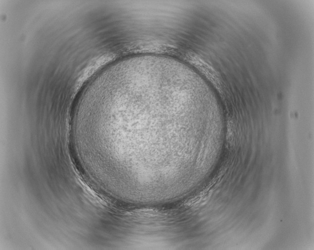 X0000087380578200705111738