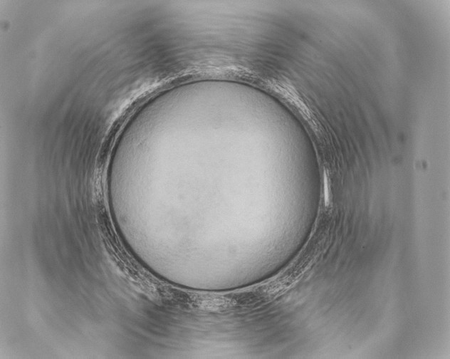 X0000087380579200705111738