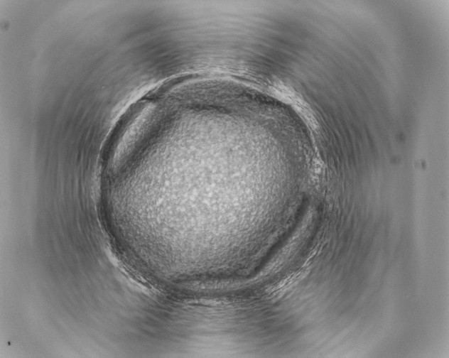 X0000087380580200705111738