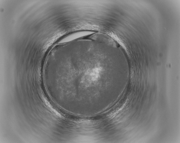 X0000087380581200705111738