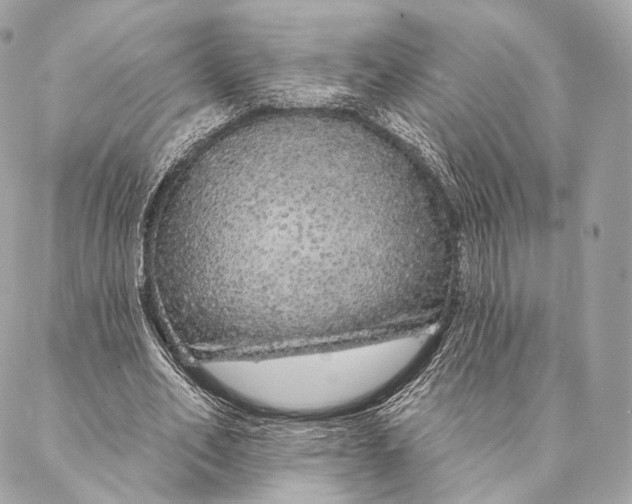 X0000087380582200705111738