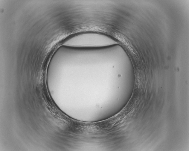 X0000087380583200705111738