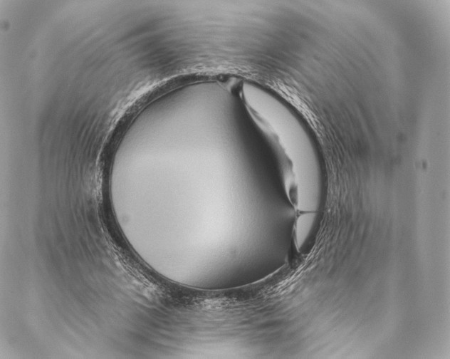 X0000087380584200705111738