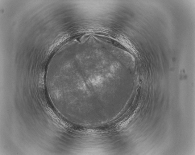 X0000087380585200705111738