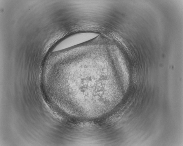 X0000087380586200705111738