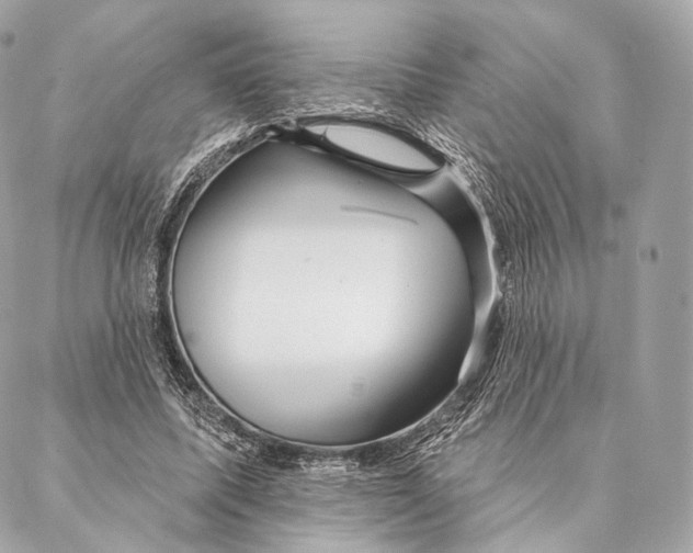 X0000087380587200705111737