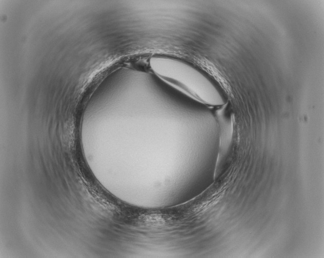 X0000087380588200705111737