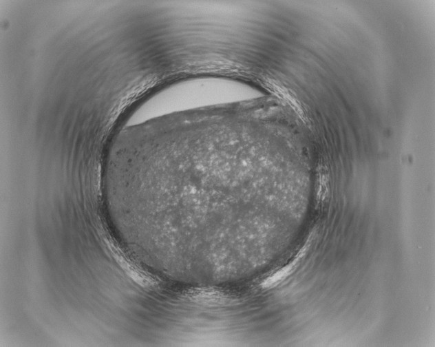 X0000087380589200705111737