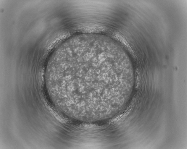 X0000087380590200705111737