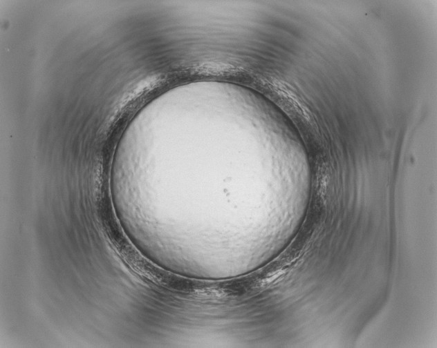 X0000087380591200705111737