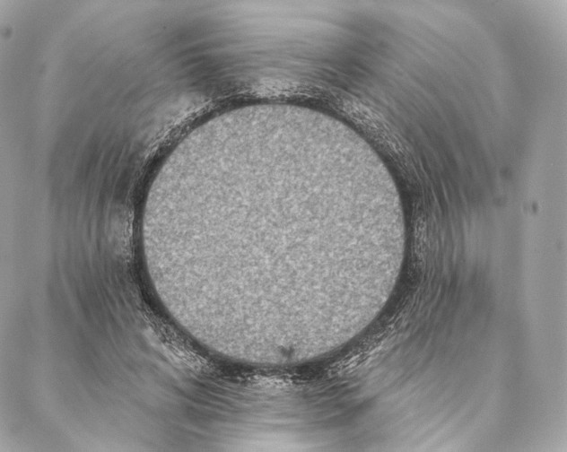 X0000087380592200705111737