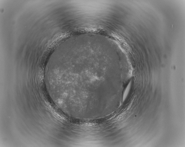 X0000087380593200705111737