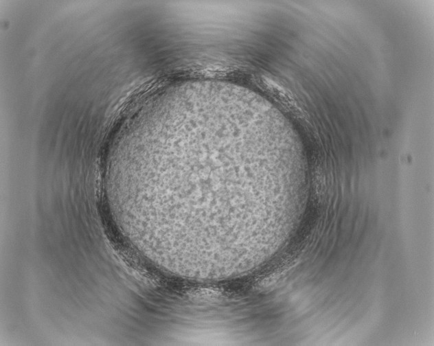 X0000087380594200705111737