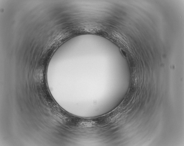 X0000087380595200705111737