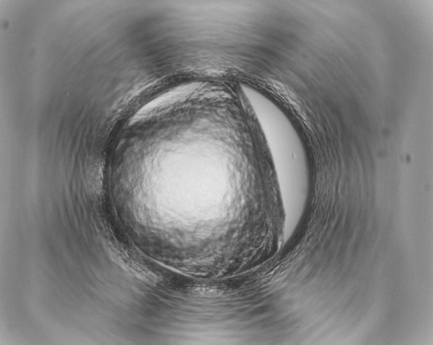 X0000087380596200705111737