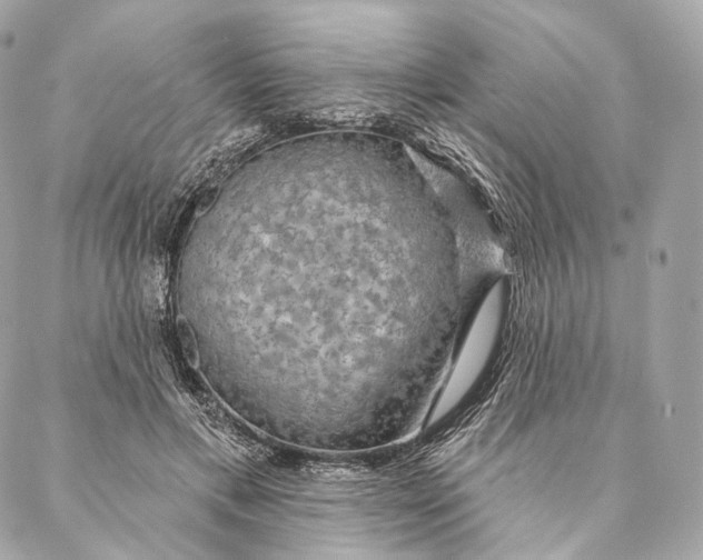 X0000087380597200705111737