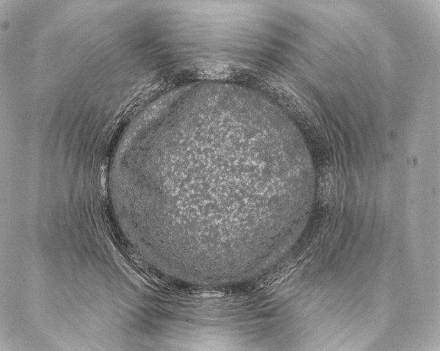 X0000087380598200705111737