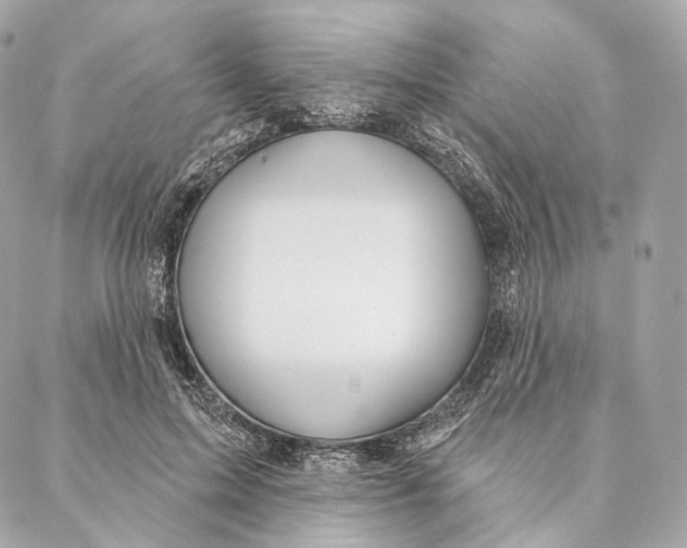 X0000087380599200705111737