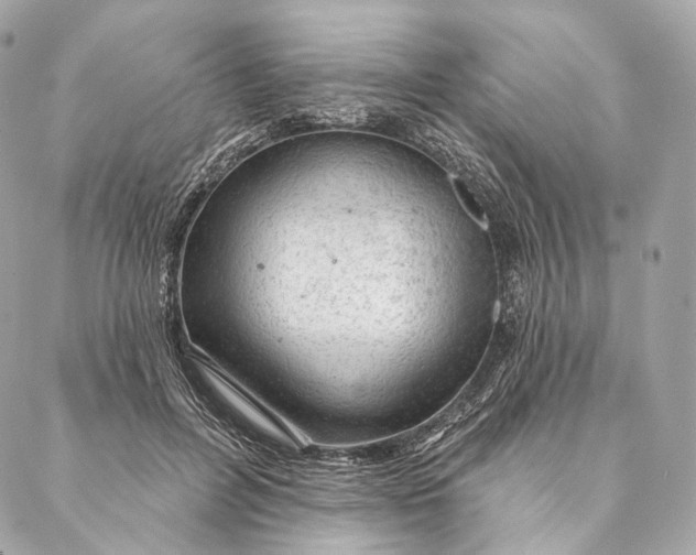 X0000087380600200705111737