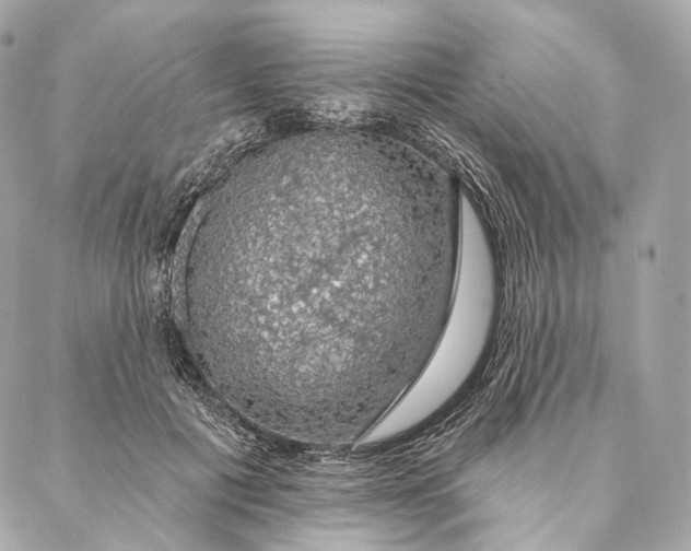 X0000087380601200705111737