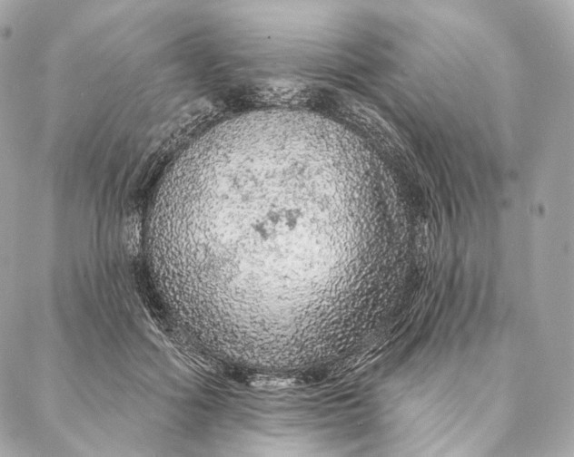 X0000087380602200705111737