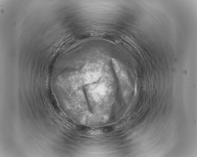 X0000087380604200705111737