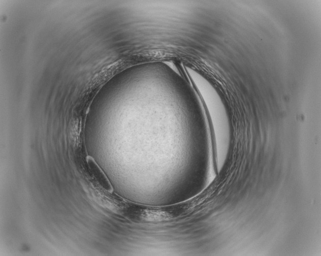 X0000087380605200705111737