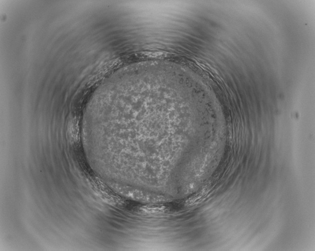 X0000087380606200705111737