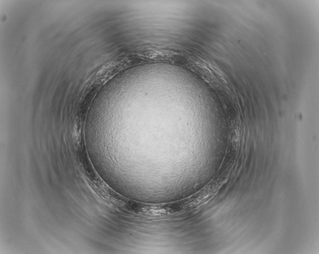 X0000087380607200705111737