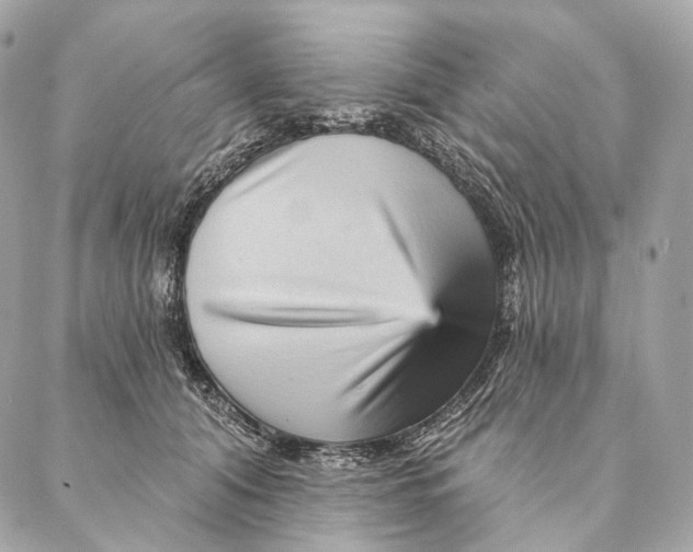 X0000087380608200705111737