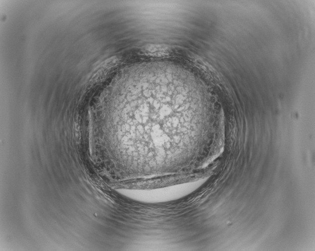 X0000087380609200705111737