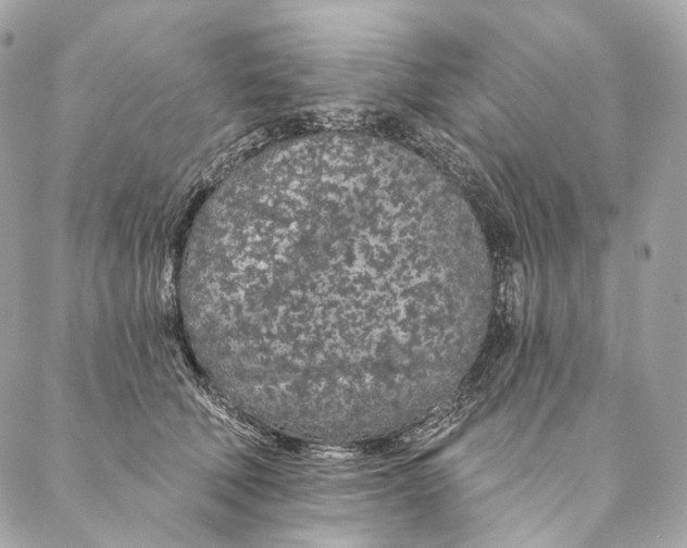 X0000087380610200705111737