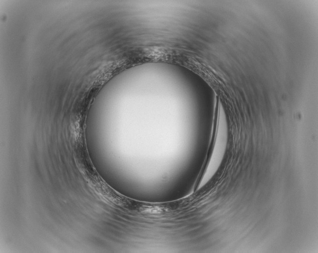 X0000087380611200705111737