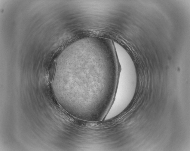 X0000087380613200705111737