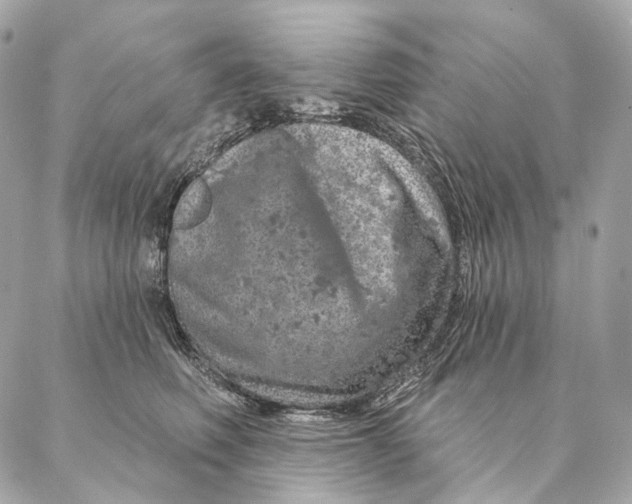 X0000087380614200705111737