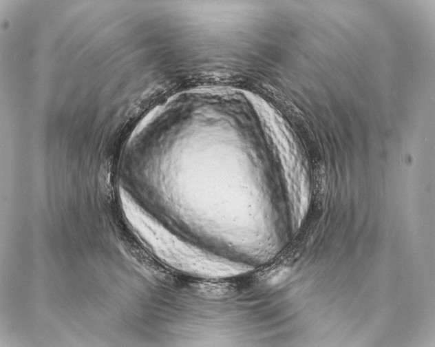 X0000087380615200705111737