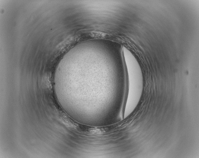 X0000087380616200705111737