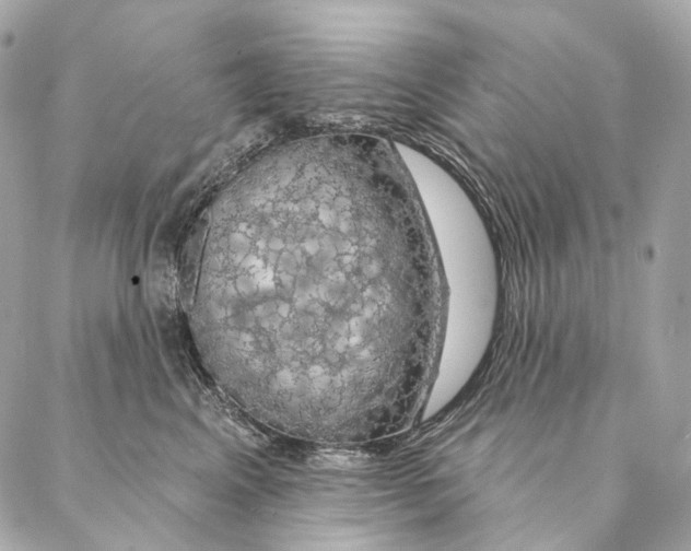 X0000087380617200705111737