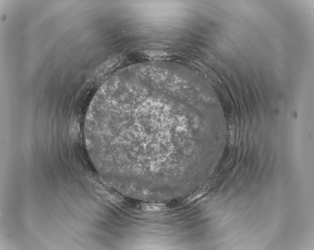 X0000087380618200705111737