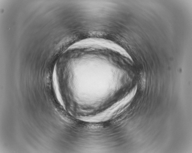 X0000087380619200705111737