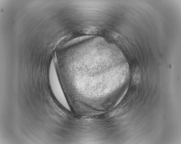 X0000087380620200705111737