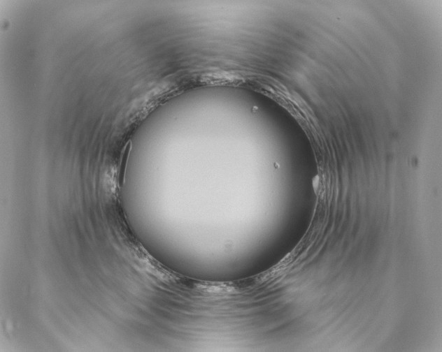 X0000087380621200705111737