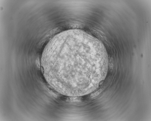 X0000087380622200705111737