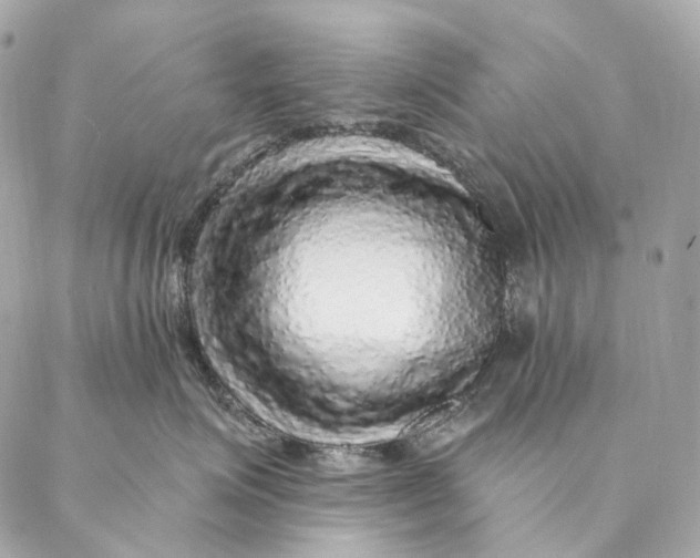 X0000087380623200705111737