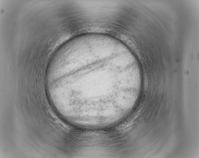 X0000087380625200705111736